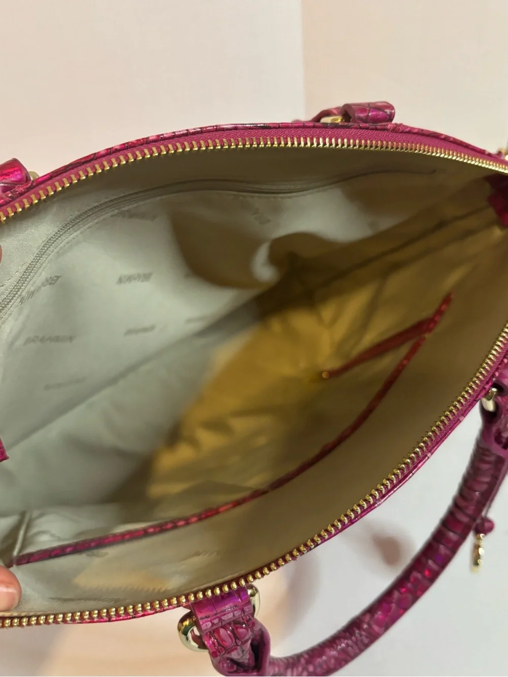 NWOT Brahmin Large Druxbury Potion Melbourne Croc-Embossed Satchel with Gold